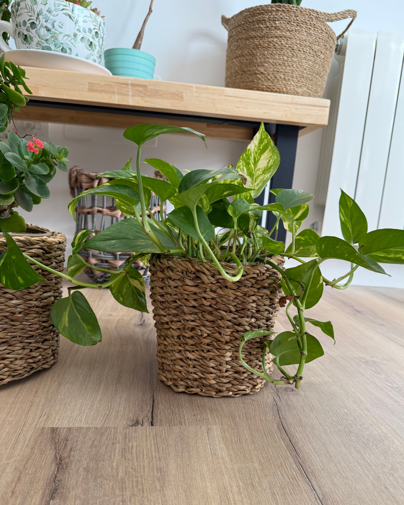 Cesta de yute