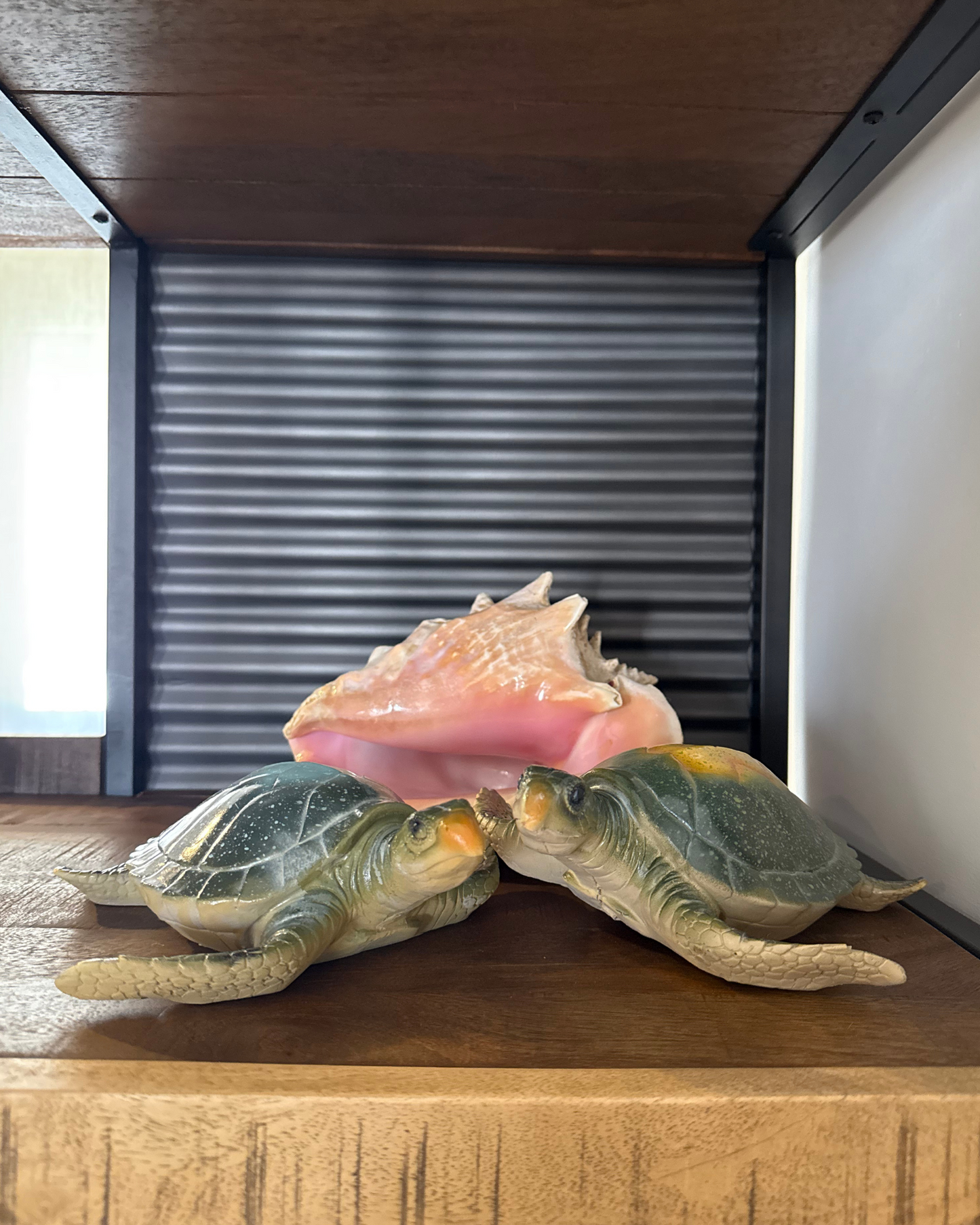 Tortuga de cerámica