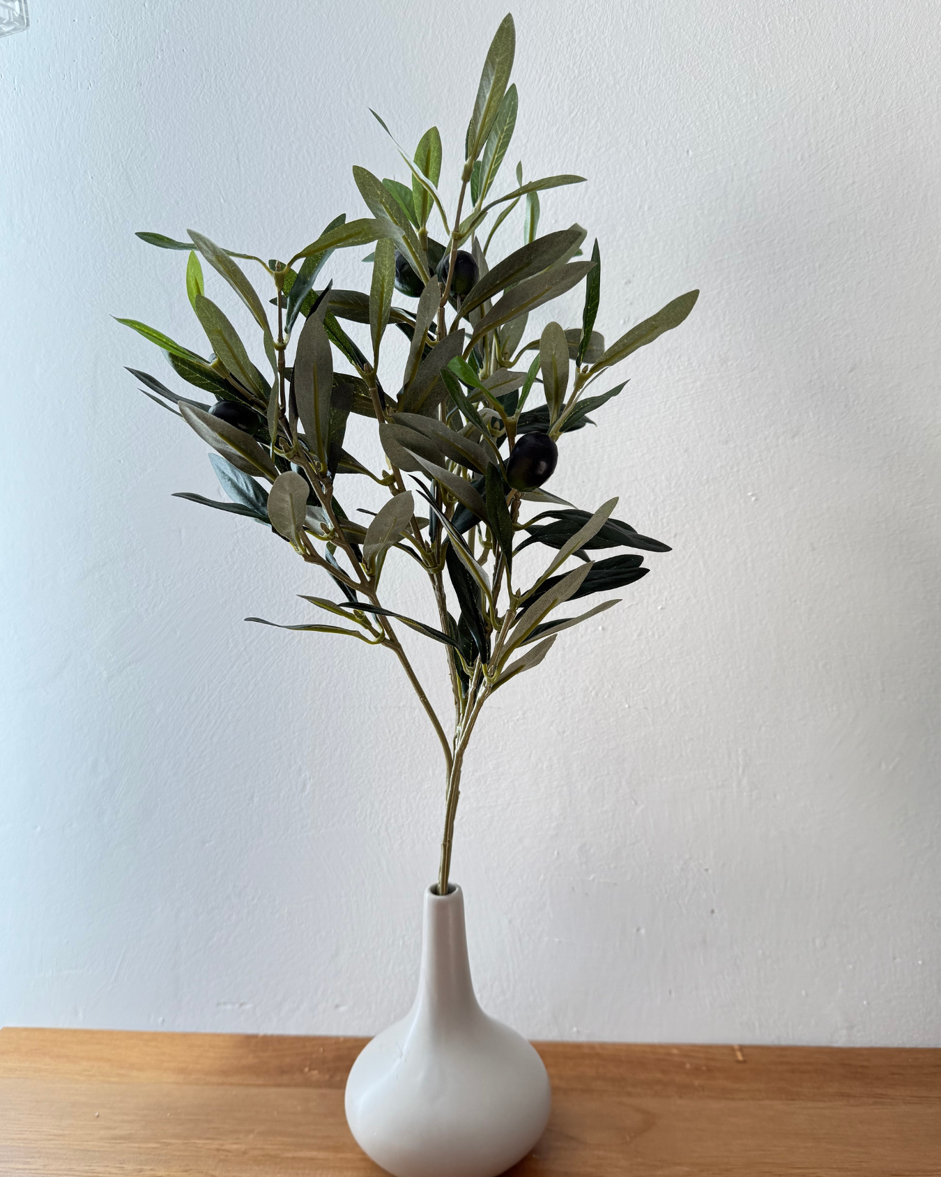 Rama de Olivo