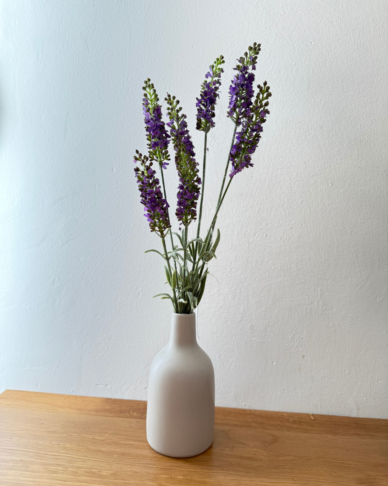 Rama de Lavanda - Set de 7