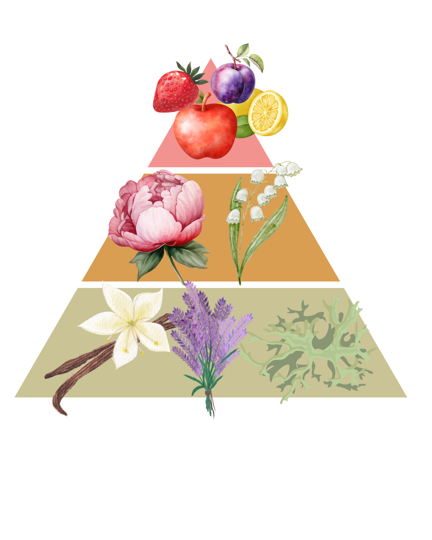 Perfume hogar - Pétalos de medianoche