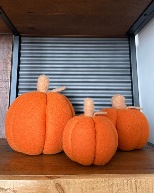 Calabaza de lana
