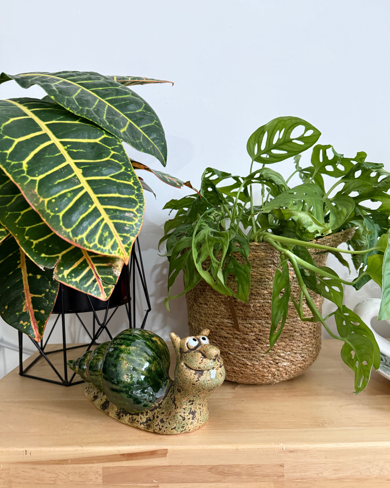 Caracol de Cerámica Verde