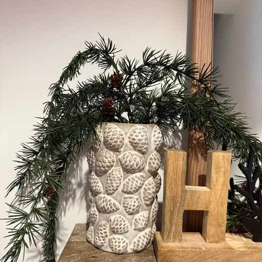 Rama de cedro con piñas