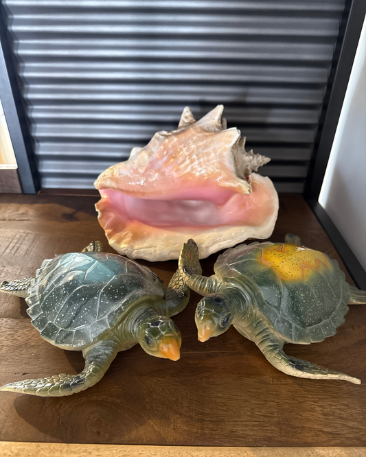 Tortuga de cerámica