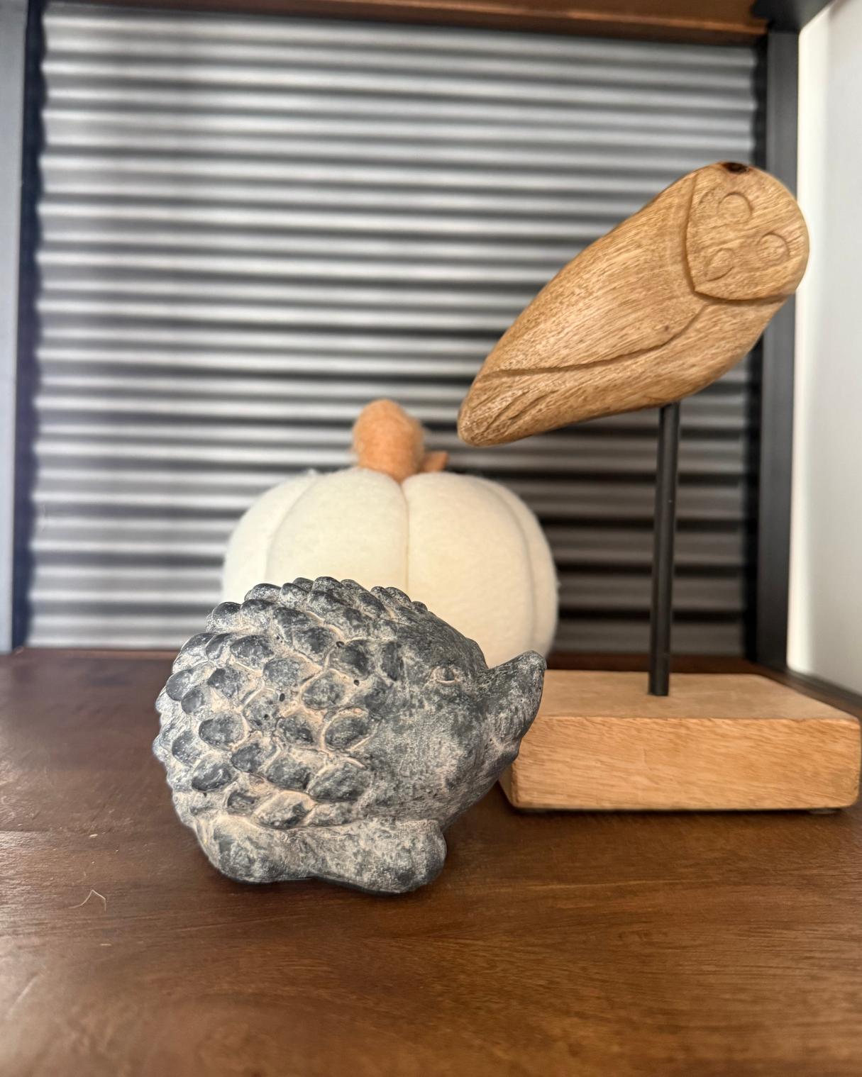 SUPER PACK ANIMALITOS