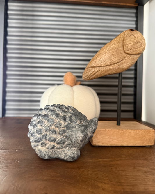 SUPER PACK ANIMALITOS