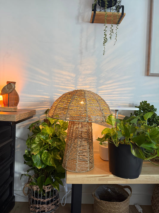 Seta decoración convertible en lámpara