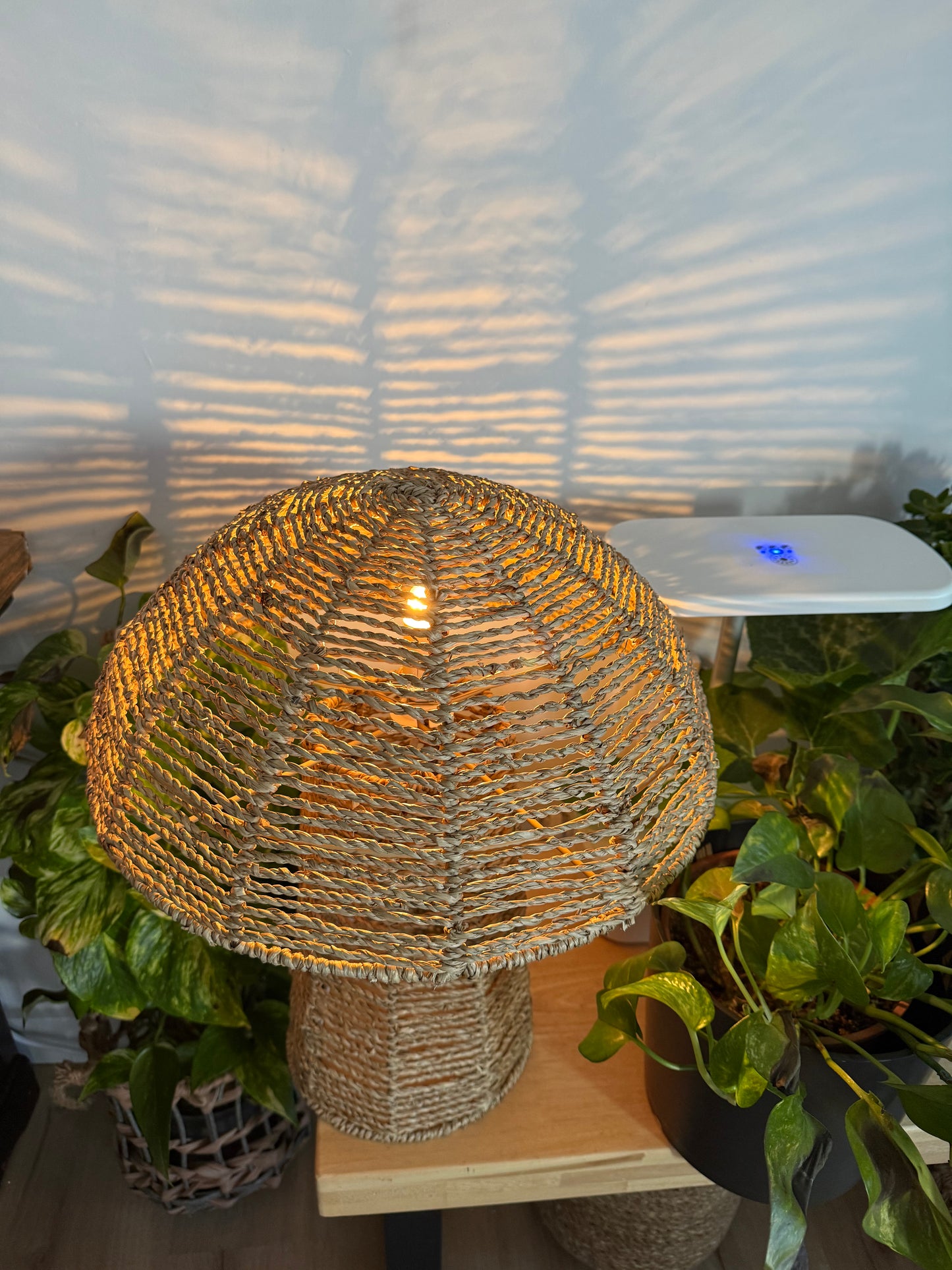 Seta decoración convertible en lámpara